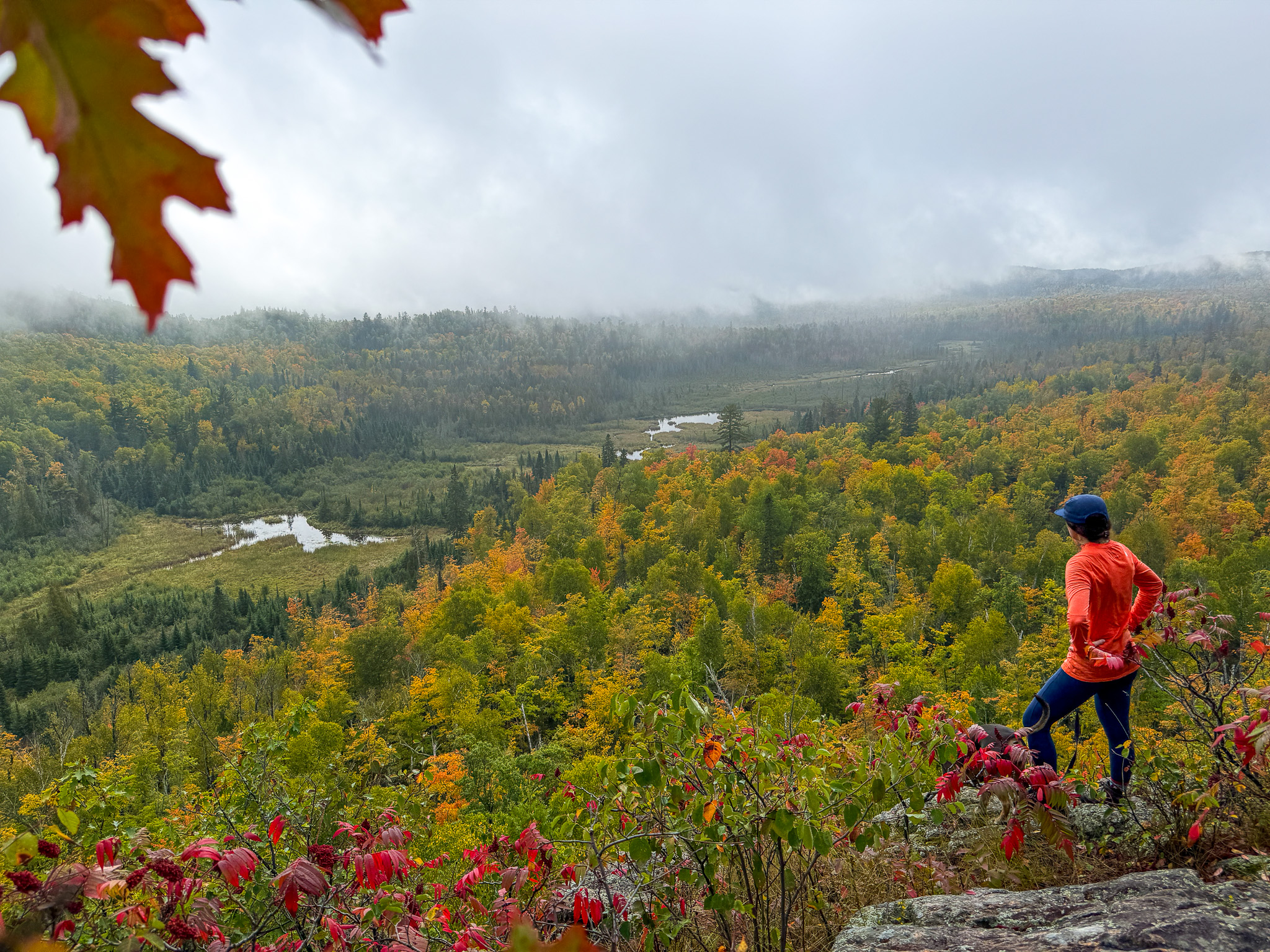 11 Best Dog-Friendly Fall Hikes on Minnesota's North Shore - Dogs